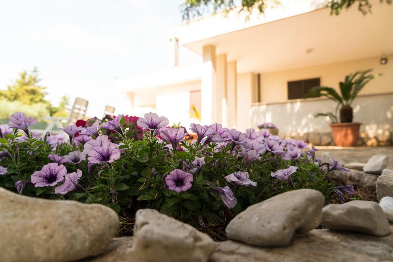 Villa Margherita โปลีญาโนอามาเร ภายนอก รูปภาพ